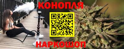 гашик Котовск