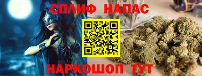 гашик Котовск