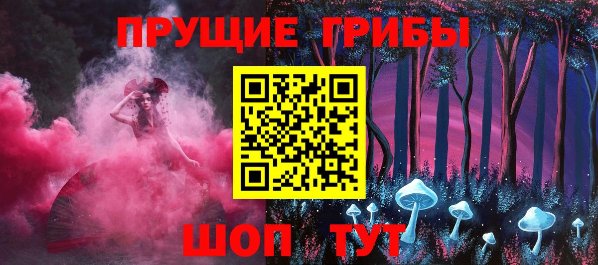 Псилоцибиновые грибы Cubensis Менделеевск